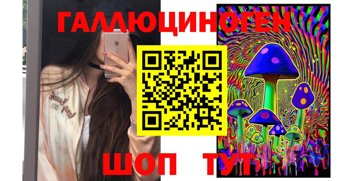 Псилоцибиновые грибы Cubensis Норильск