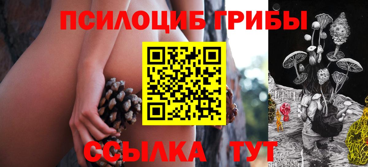 Псилоцибиновые грибы мухоморы  Вход с VPN  Норильск 
