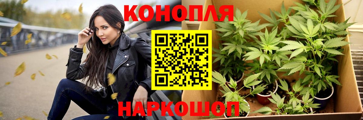 ГАШИШ Норильск
